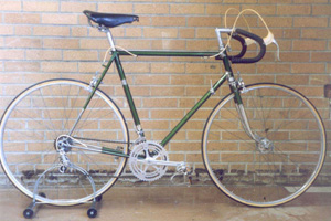 raleigh international bike for sale