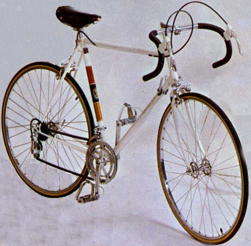white raleigh bike