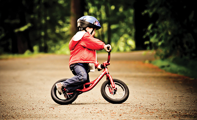 raleigh bikes kids